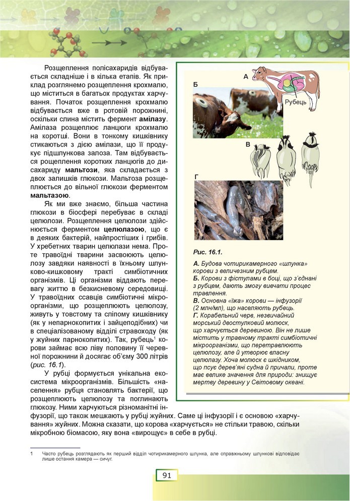 Біологія 9 клас Шаламов