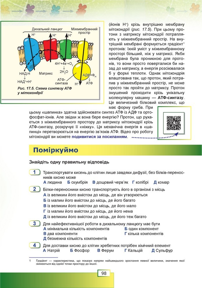 Біологія 9 клас Шаламов