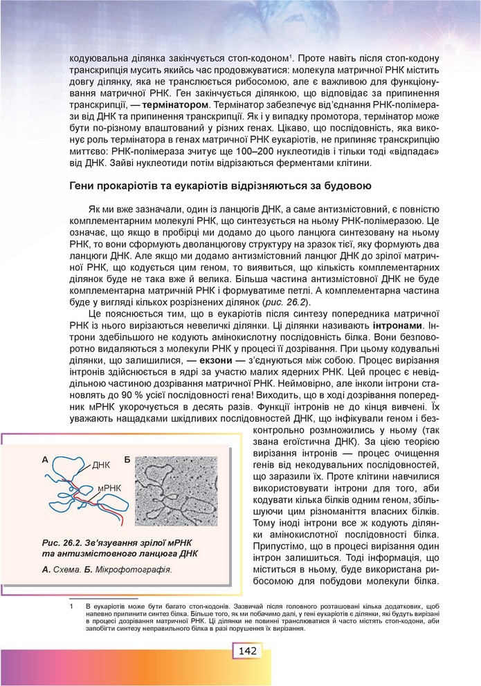 Біологія 9 клас Шаламов