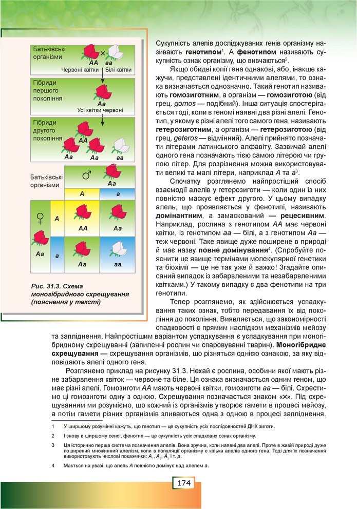 Біологія 9 клас Шаламов