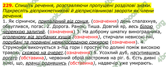 ГДЗ Українська мова 10 клас Заболотний 2018 (Рус.)