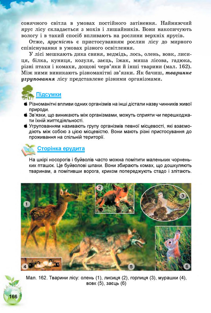 Природознавство 5 клас Коршевнюк 2018
