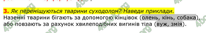 Відповіді Природознавство 5 клас Коршевнюк 2018