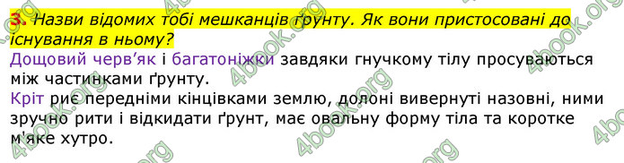 Відповіді Природознавство 5 клас Коршевнюк 2018