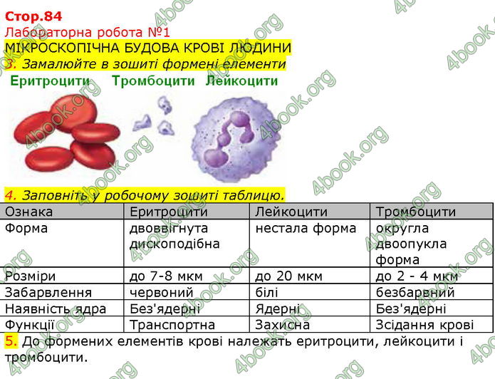 Відповіді Біологія 8 клас Соболь. ГДЗ