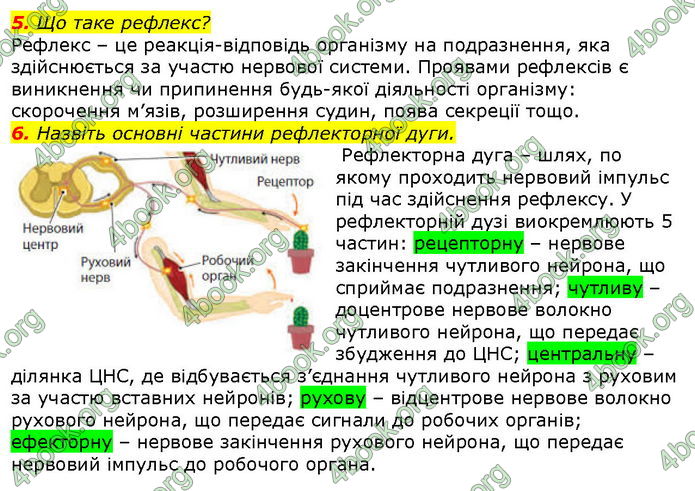 Відповіді Біологія 8 клас Соболь. ГДЗ