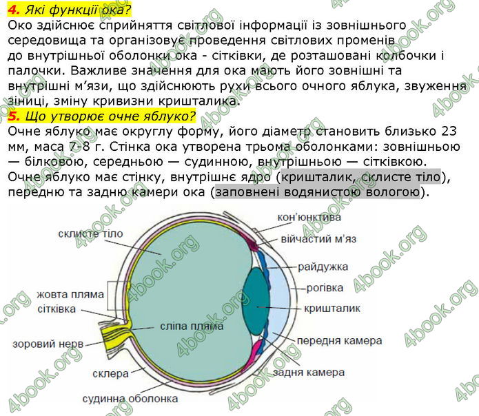 Відповіді Біологія 8 клас Соболь. ГДЗ