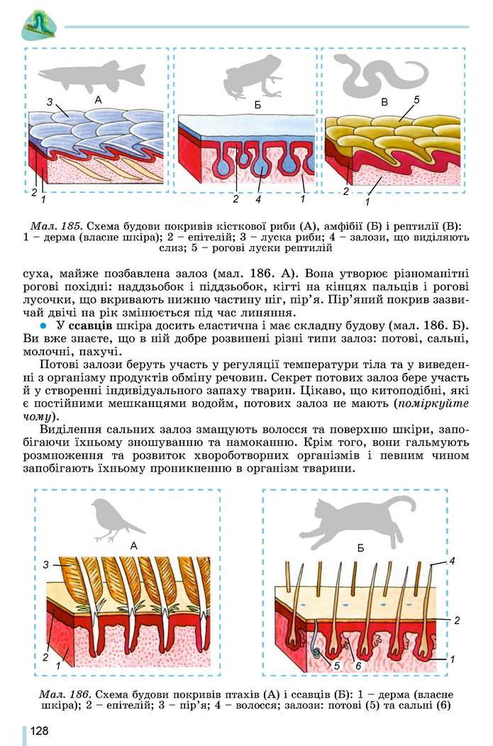 Підручник Біологія 7 клас Остапченко 2020
