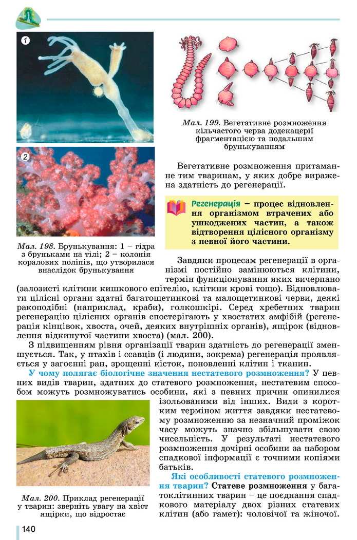 Підручник Біологія 7 клас Остапченко 2020