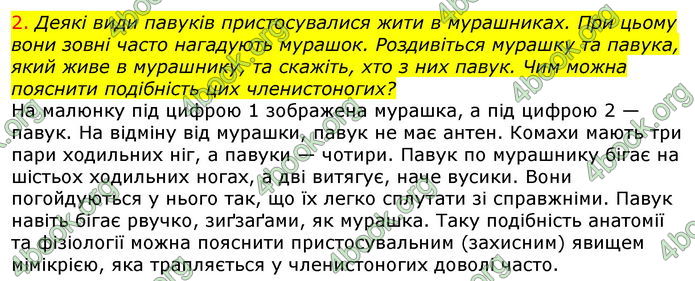 Відповіді Біологія 7 клас Остапченко 2020