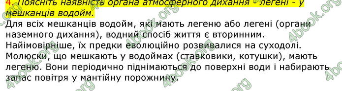 Відповіді Біологія 7 клас Остапченко 2020