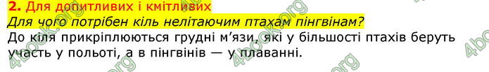 Відповіді Біологія 7 клас Остапченко 2020