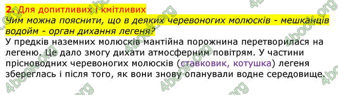 Відповіді Біологія 7 клас Остапченко 2020