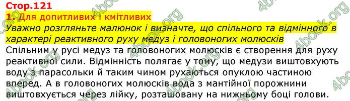 Відповіді Біологія 7 клас Остапченко 2020