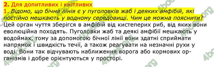 Відповіді Біологія 7 клас Остапченко 2020