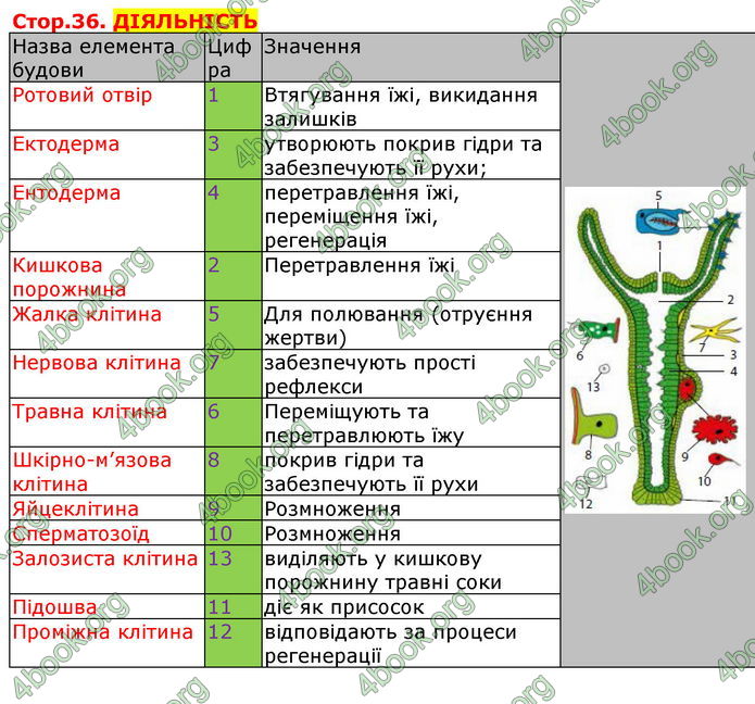 Відповіді Біологія 7 клас Соболь