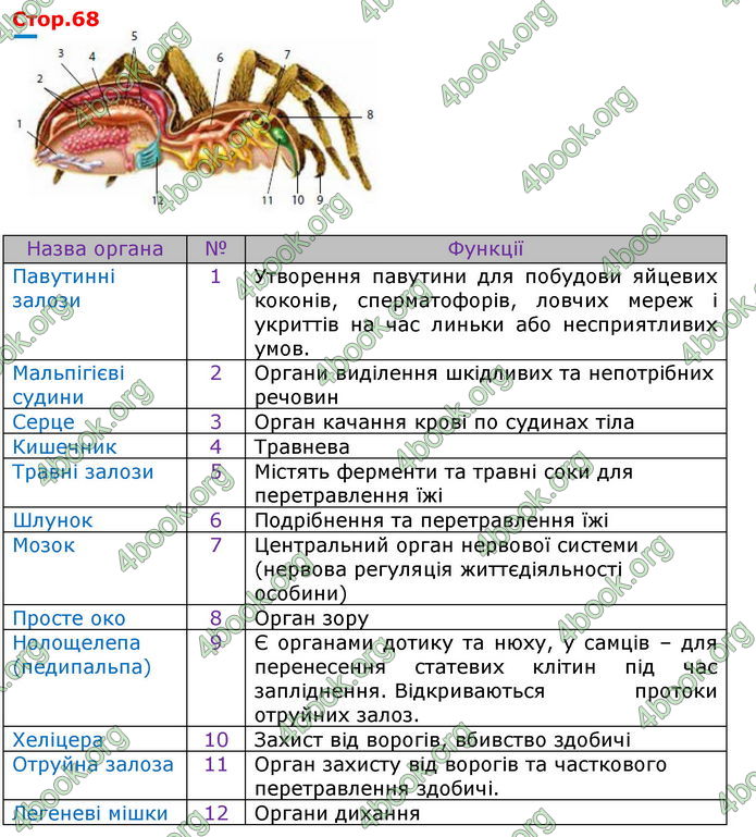 Відповіді Біологія 7 клас Соболь