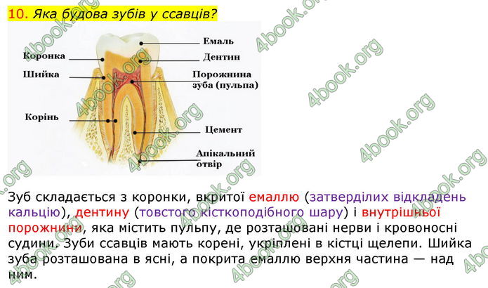 Відповіді Біологія 7 клас Соболь