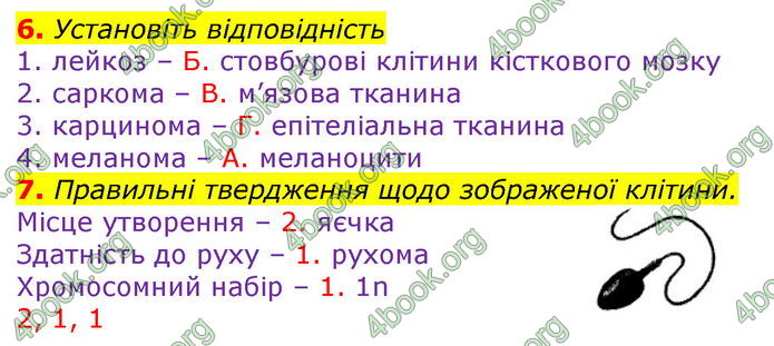 ГДЗ Зошит оцінювання Біологія 10 клас Безручкова