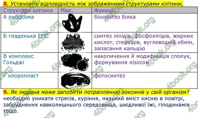 ГДЗ Зошит оцінювання Біологія 10 клас Безручкова