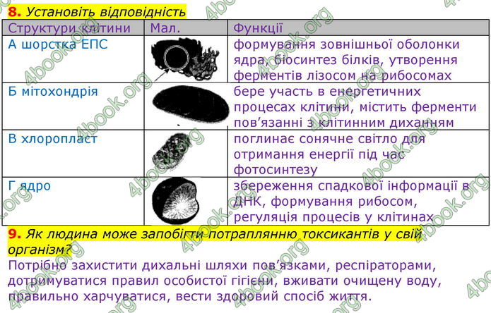 ГДЗ Зошит оцінювання Біологія 10 клас Безручкова