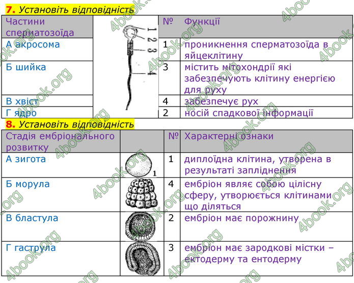 ГДЗ Зошит оцінювання Біологія 10 клас Безручкова