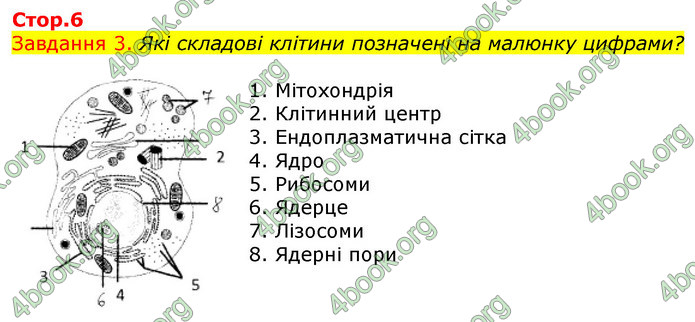 ГДЗ Зошит з Біології 7 клас Яременко