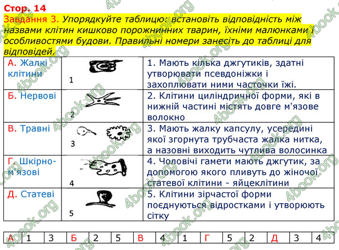 ГДЗ Зошит з Біології 7 клас Яременко