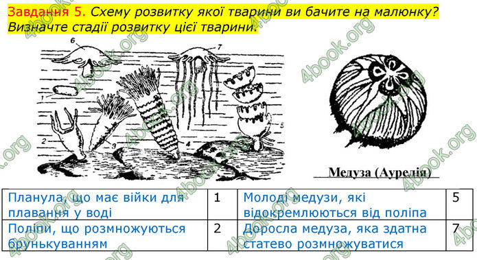 ГДЗ Зошит з Біології 7 клас Яременко