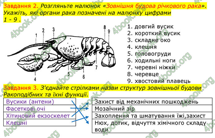 ГДЗ Зошит з Біології 7 клас Яременко