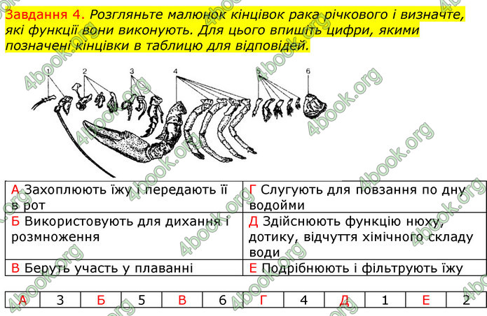 ГДЗ Зошит з Біології 7 клас Яременко