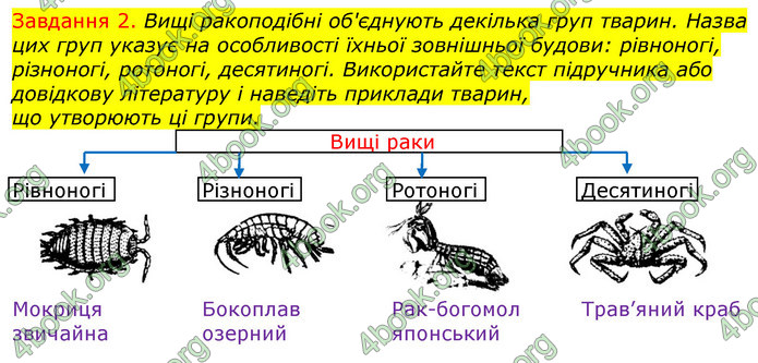 ГДЗ Зошит з Біології 7 клас Яременко