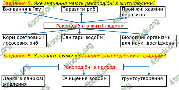 ГДЗ Зошит з Біології 7 клас Яременко