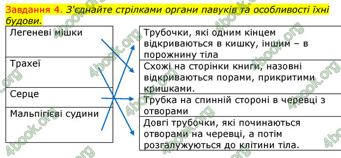 ГДЗ Зошит з Біології 7 клас Яременко