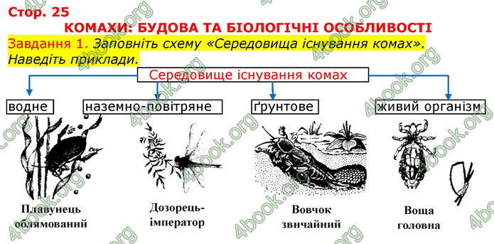 ГДЗ Зошит з Біології 7 клас Яременко