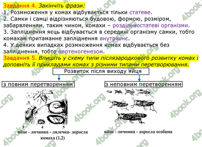 ГДЗ Зошит з Біології 7 клас Яременко