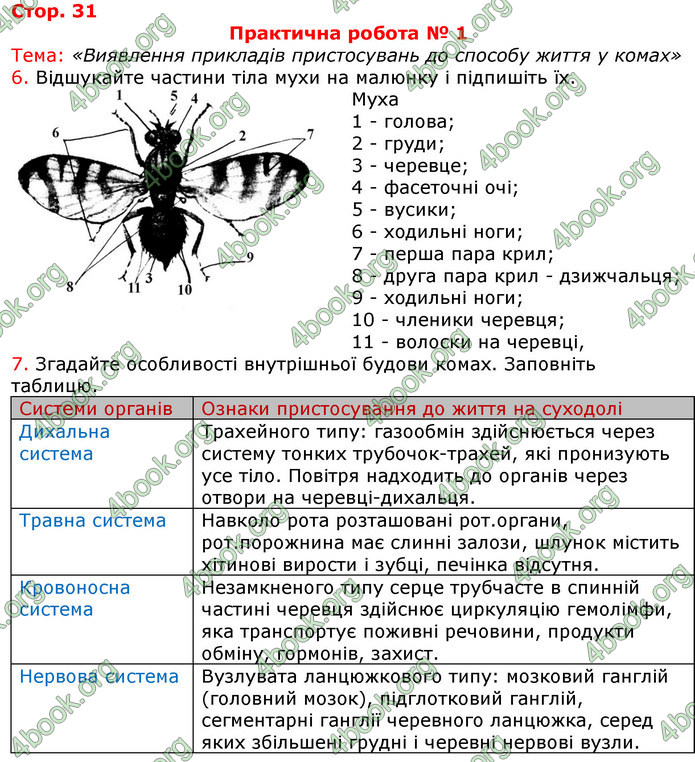 ГДЗ Зошит з Біології 7 клас Яременко