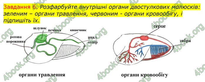 ГДЗ Зошит з Біології 7 клас Яременко