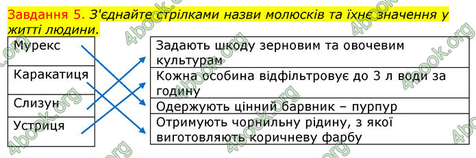 ГДЗ Зошит з Біології 7 клас Яременко