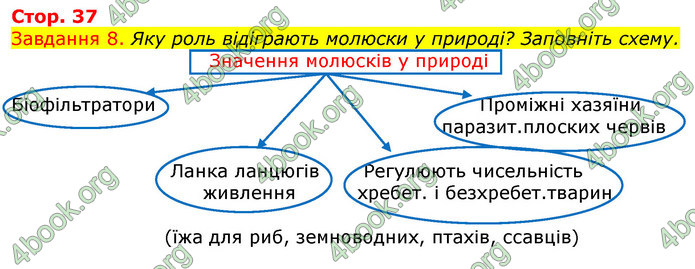 ГДЗ Зошит з Біології 7 клас Яременко