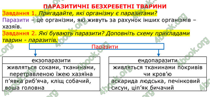 ГДЗ Зошит з Біології 7 клас Яременко