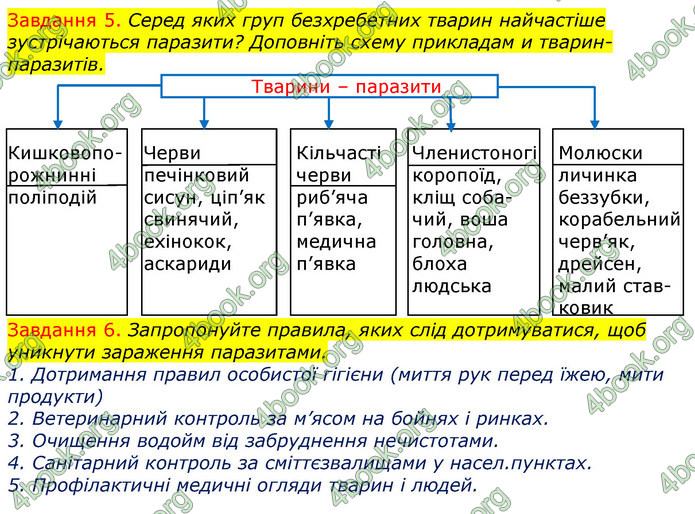 ГДЗ Зошит з Біології 7 клас Яременко