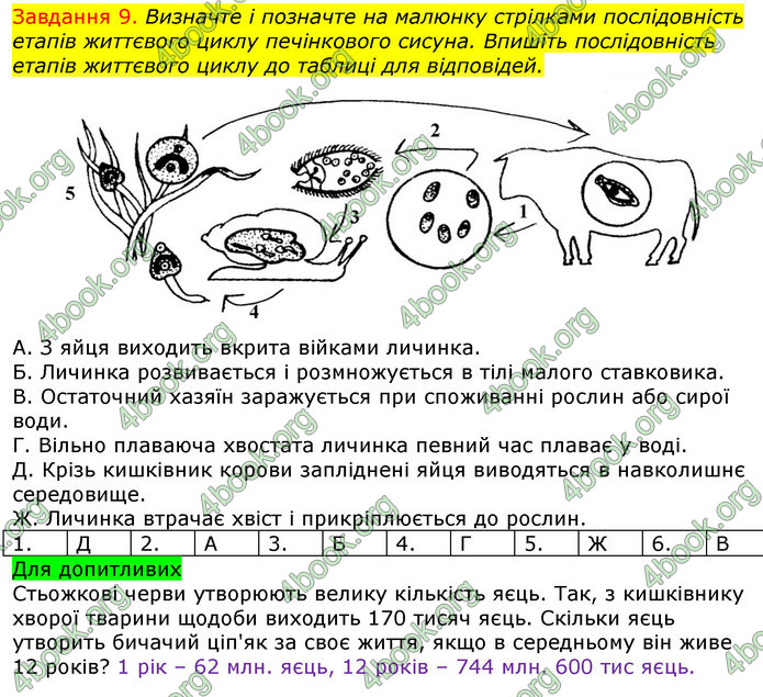 ГДЗ Зошит з Біології 7 клас Яременко