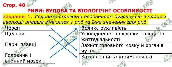 ГДЗ Зошит з Біології 7 клас Яременко