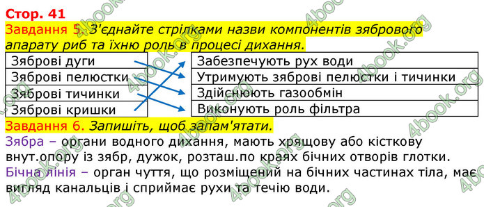 ГДЗ Зошит з Біології 7 клас Яременко