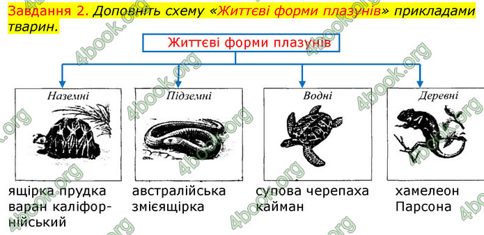 ГДЗ Зошит з Біології 7 клас Яременко