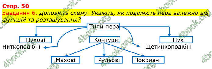 ГДЗ Зошит з Біології 7 клас Яременко