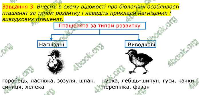 ГДЗ Зошит з Біології 7 клас Яременко