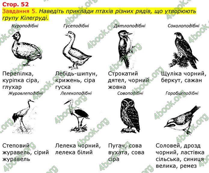 ГДЗ Зошит з Біології 7 клас Яременко