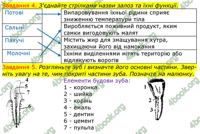 ГДЗ Зошит з Біології 7 клас Яременко